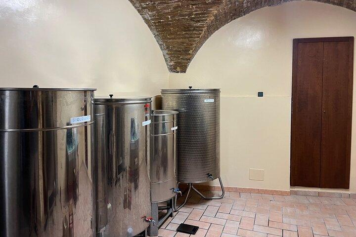 Visit olive groves and oil mill with oil tasting in Trevi in Umbria
