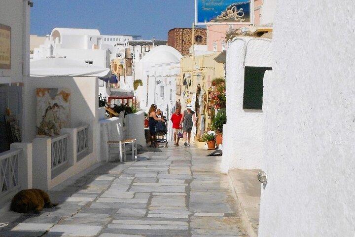 Santorini Private Custom Tour for Cruise & Hotel Guests