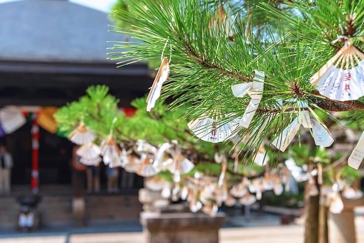 Kyoto & Nara Private Customized Tour with English Speaking Guide