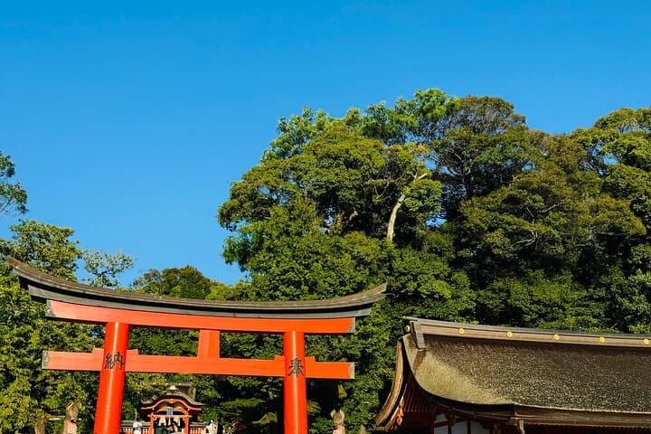 Kyoto & Nara Private Customized Tour with English Speaking Guide
