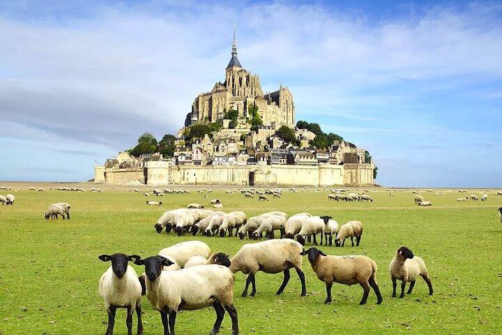 Mont Saint Michel Ticket and Tours