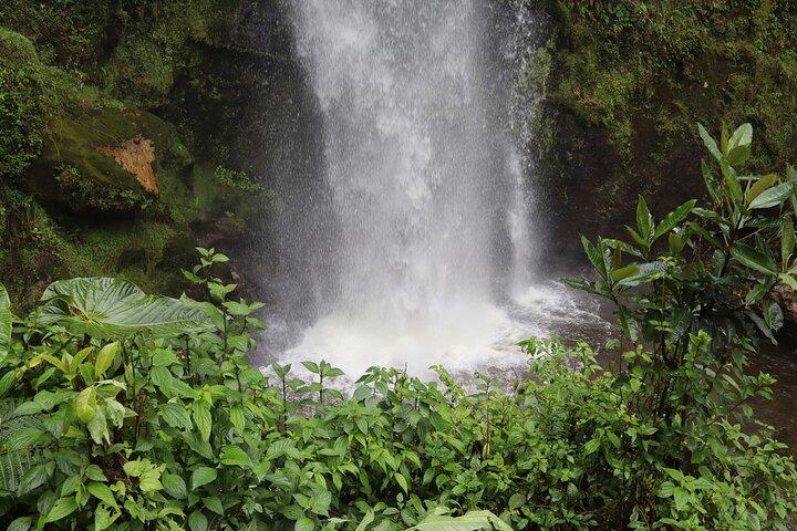 Colombia’s Tallest Waterfalls: La Chorrera Hike