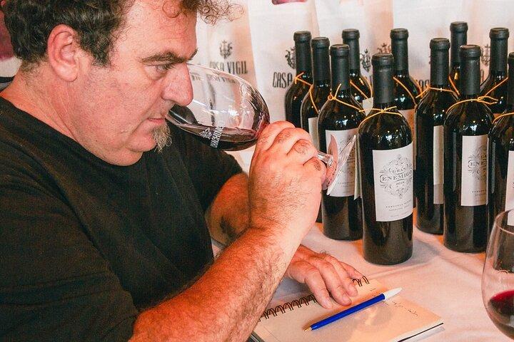 Visit 3 Wineries (The Enemy Included) + Lunch & Private Transport
