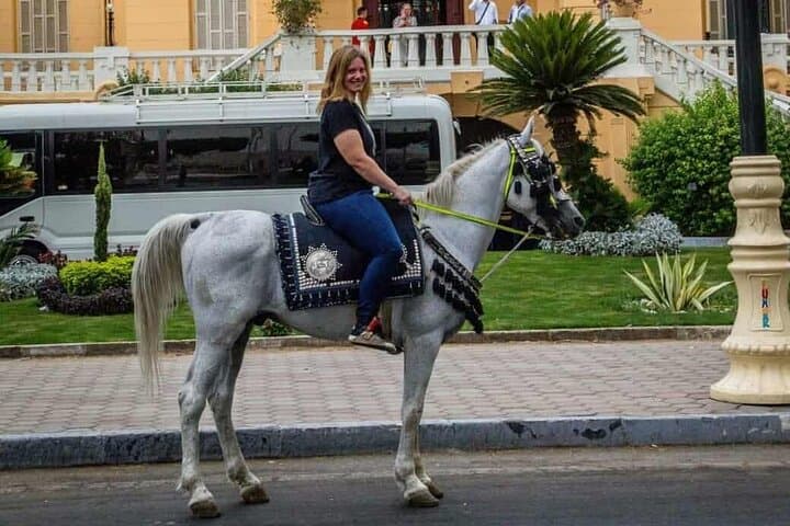 Horse Riding - Explore Luxor East Bank on Horseback