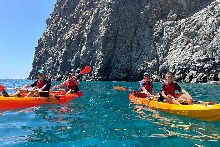 Tenerife Kayak Tour with Marine Wildlife Spotting and Snorkeling