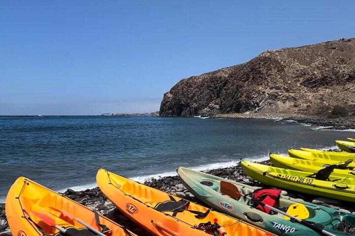 Tenerife Kayak Tour with Marine Wildlife Spotting and Snorkeling