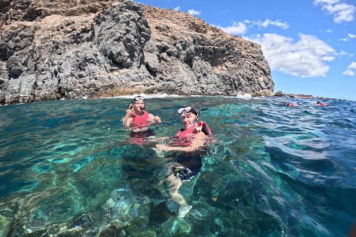 Tenerife Kayak Tour with Marine Wildlife Spotting and Snorkeling