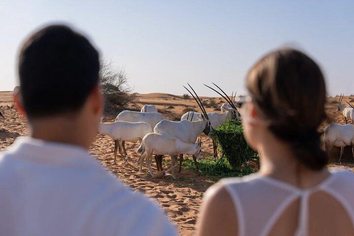 57 Dune Bashing + Heritage Desert Experience