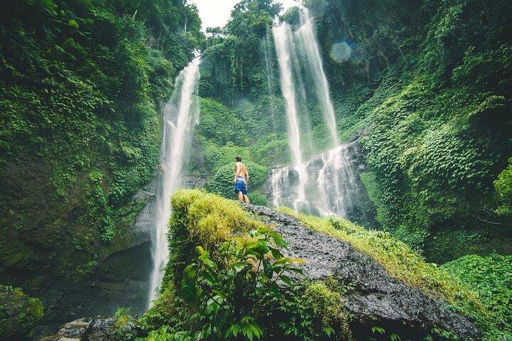 North Bali Tour with Twin Waterfalls and Temple