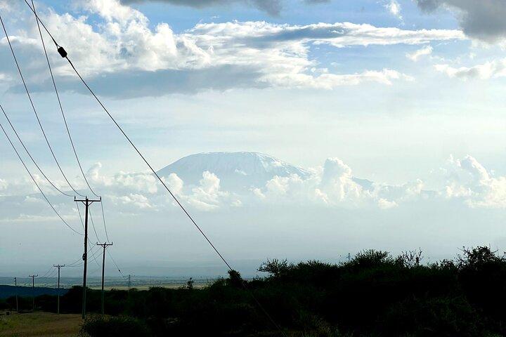 3 Days Amboseli Safari Game Drives Under Kilimanjaro Snows