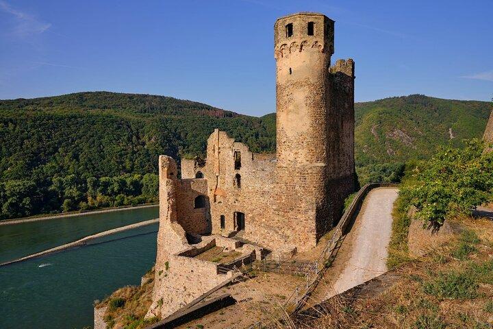 from Frankfurt: River Rhein, Ruedesheim, Loreley and Mini Cruise