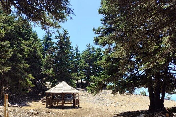 Mount Ainos Private Hiking and Cultural Tour of Kefalonia