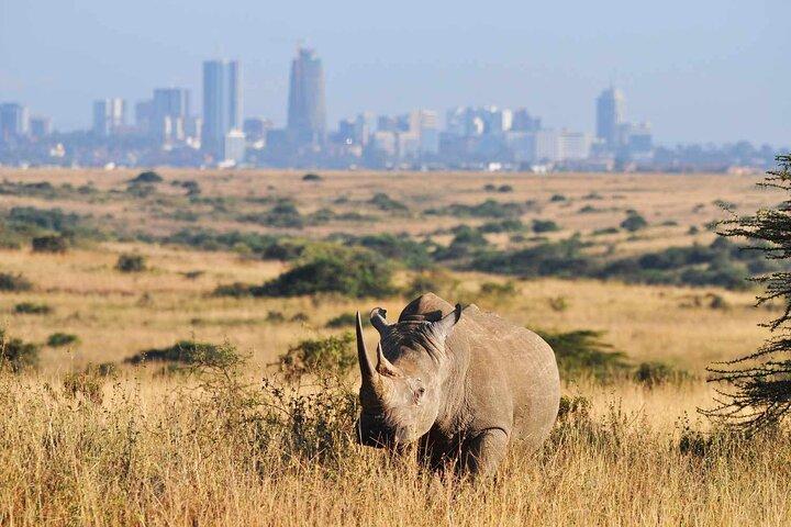 Nairobi Park and Giraffe Center Half Day Tour