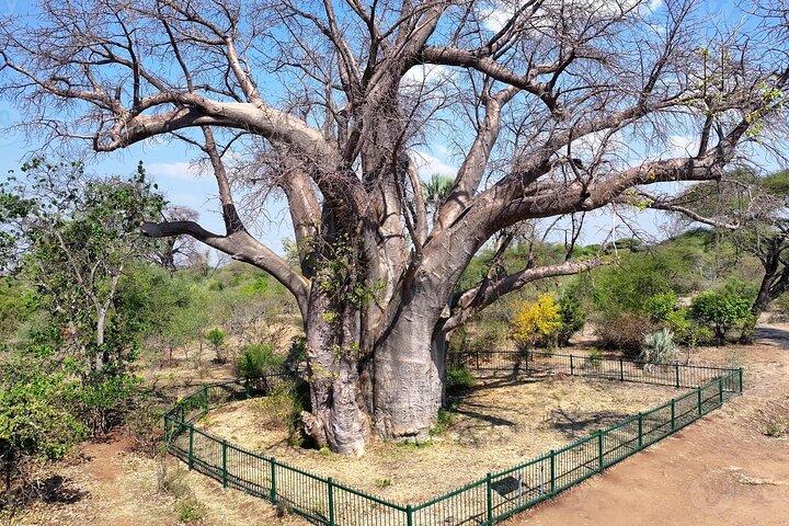 Victoria Falls Guided Walking Tour with a Local Expert