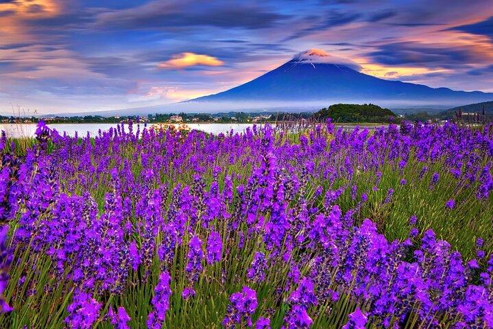 Mt. Fuji Day tour: Kawaguchi Lake Ropeway, Matcha, Oshino Hakkai