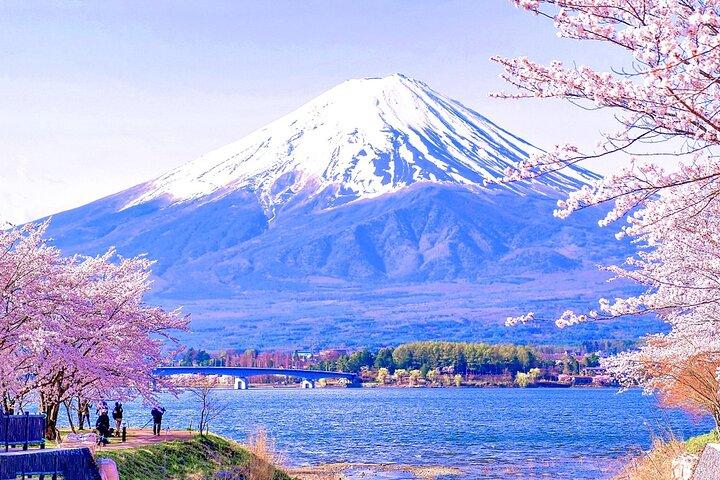 Mt. Fuji Day tour: Kawaguchi Lake Ropeway, Matcha, Oshino Hakkai