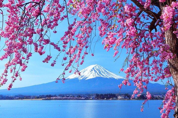 Mt. Fuji Day tour: Kawaguchi Lake Ropeway, Matcha, Oshino Hakkai