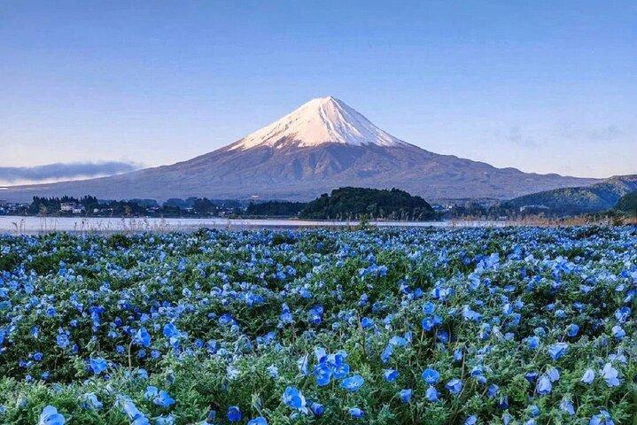 Mt. Fuji Day tour: Kawaguchi Lake Ropeway, Matcha, Oshino Hakkai