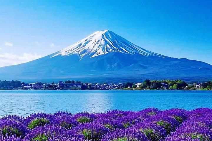 Mt.Fuji Arakurayama Sengen Park,Oshino Hakkai,Kawaguchi Lake Tour