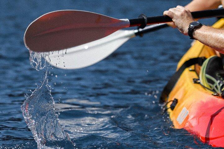 Budva: Kayak & SUP Rental
