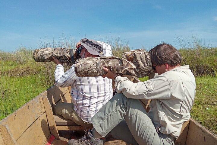 Shoebill Stork and Birdwatching Tour at Mabamba swamp