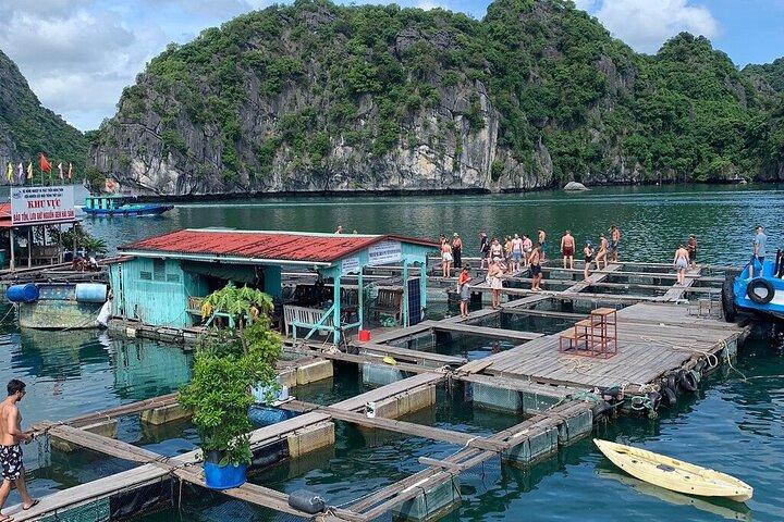 From Hanoi: 2 Days Adventure in the National Park and Lan Ha Bay
