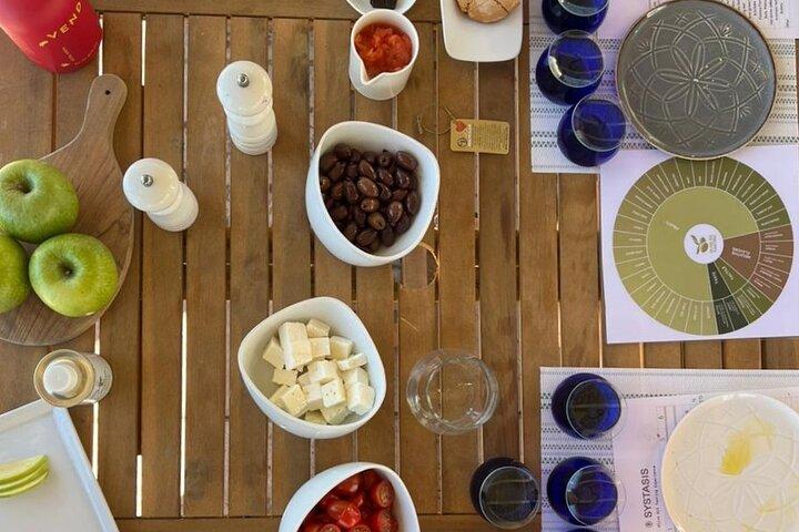 SYSTASIS Olive Oil Tasting Experience in Ermioni Greece
