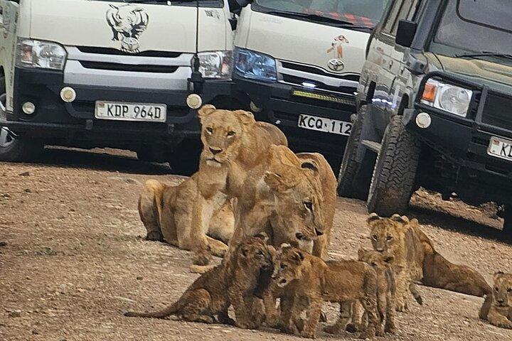 Top-Rated Nairobi National Park Safari And Kobe Beads Experience