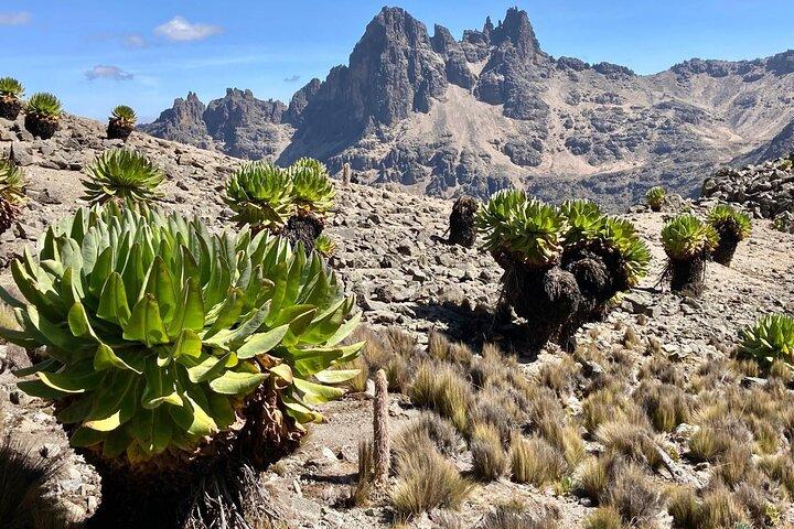 4 Days Mt. Kenya Climbing Tour