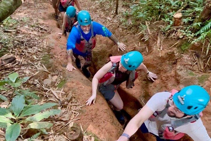 From San Juan: El Yunque Rainforest Hiking Adventure
