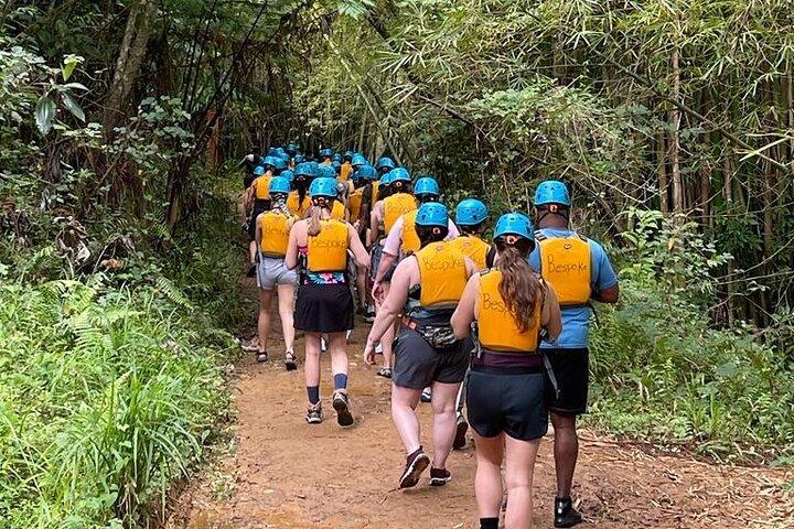 El Yunque Rainforest and Zipline Canopy Combo Tour