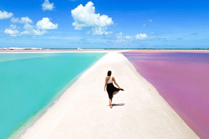Rio Lagartos and Las Coloradas Day Tour from Cancun