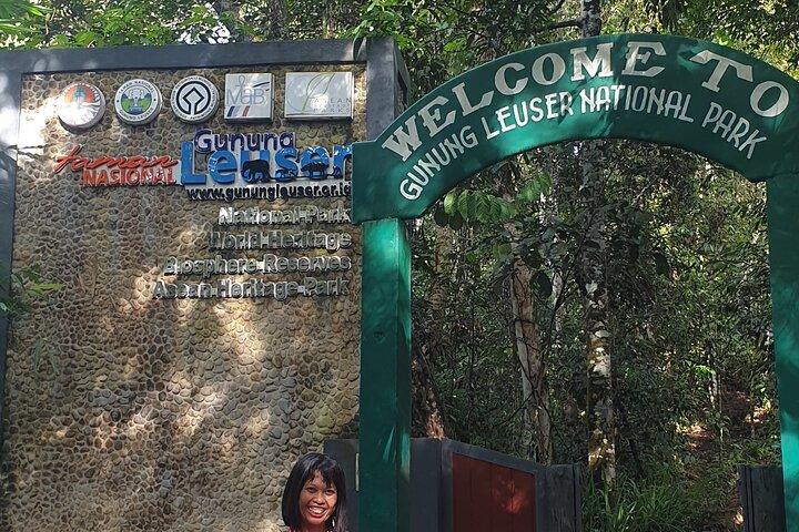 From Medan 1 day Bukit Lawang Jungle Trekking to see Orangutan