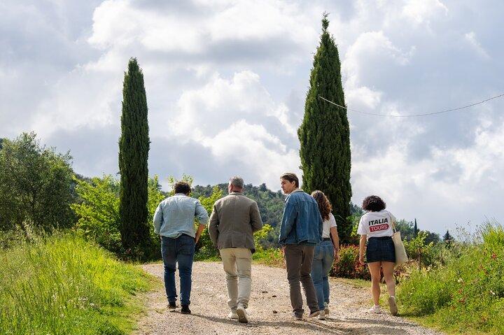 San Gimignano & Tuscan Wine Tasting from Florence