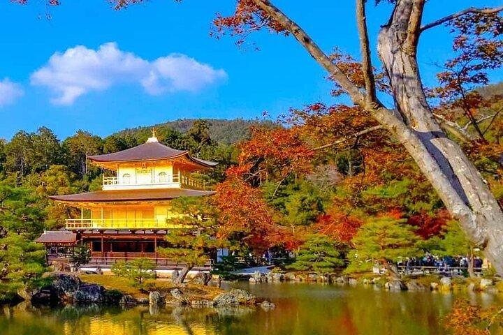 Kyoto and Nara Private Customizable Day Trip by Luxury Car
