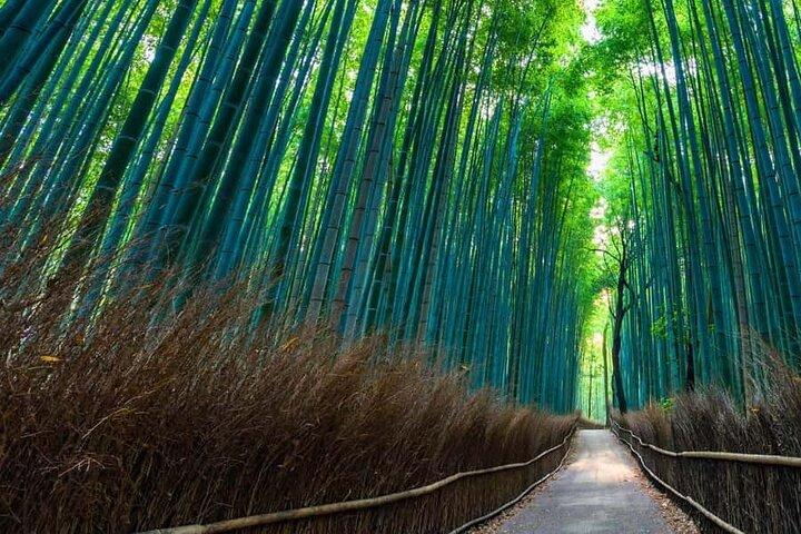 Kyoto and Nara Private Customizable Day Trip by Luxury Car