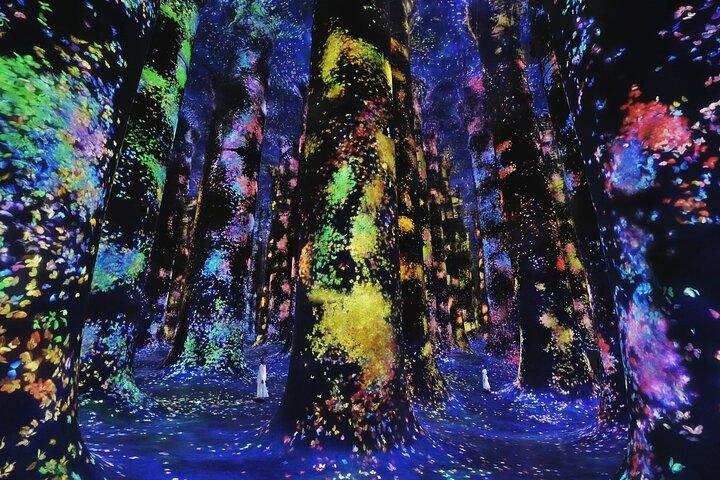 teamLab Phenomena Abu Dhabi Ticket
