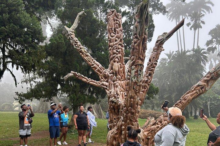 Waterfalls, Aburi Botanical Gardens & a Cocoa Farm Experience.