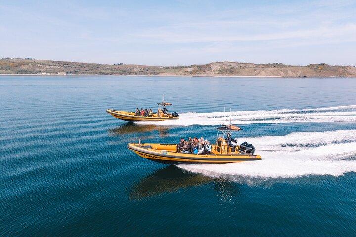 Anglesey Wildlife Boat Trips Around Coastal Sites