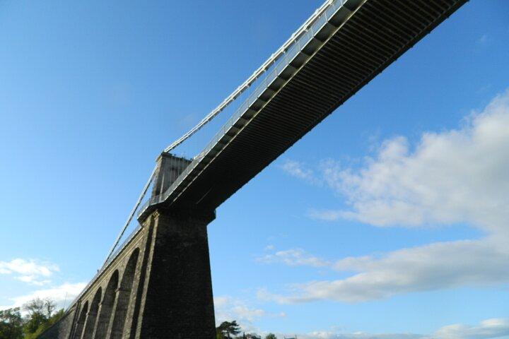 Anglesey Wildlife Boat Trips Around Coastal Sites