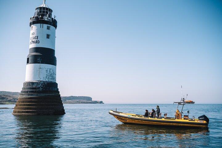 Anglesey Wildlife Boat Trips Around Coastal Sites