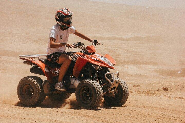 Marrakech: agafay desert quad bike with camel ride & dinner show