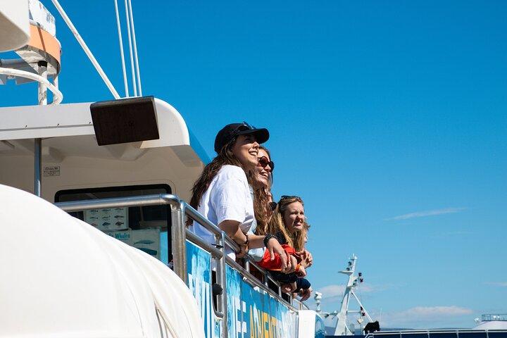 Guided Whale Watching Experience from Reykjavik