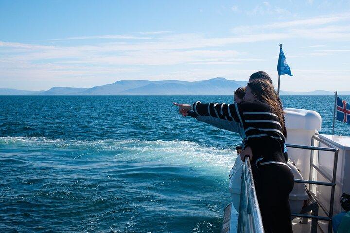 Guided Whale Watching Experience from Reykjavik