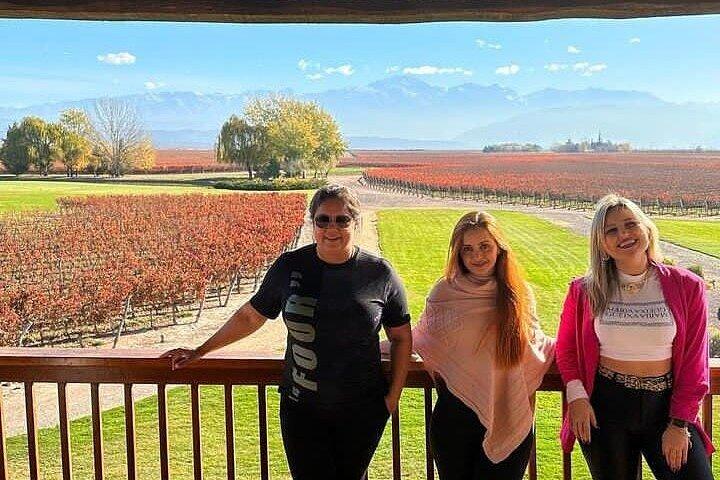 FULL DAY Wineries in Maipu and Lujan - EXCLUSIVE/PRIVATE VEHICLE