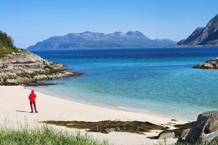 Tromsø: Sommarøy Island Road Trip with Fjord Viewpoint Stops