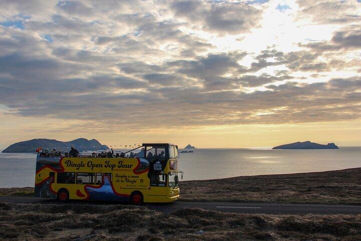 Explore Dingle Slea Head Open Top Bus Tour