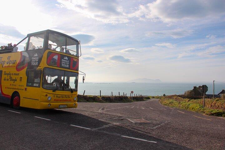 Explore Dingle Slea Head Open Top Bus Tour