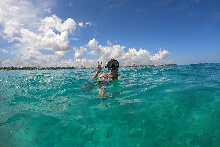 Full - Day Catalina Island Snorkel from Juan Dolio & Boca Chica