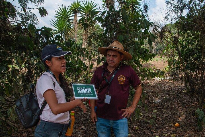Coffee Tour in Antigua Guatemala